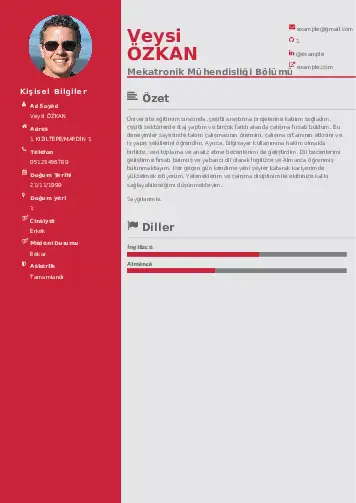 Mekatronik Mühendisliği Cv Örnekleri cv indir